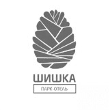 Шишка