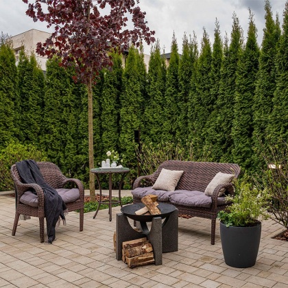 Чугунная чаша на бетонном основании PREMIUM S-серия (60)