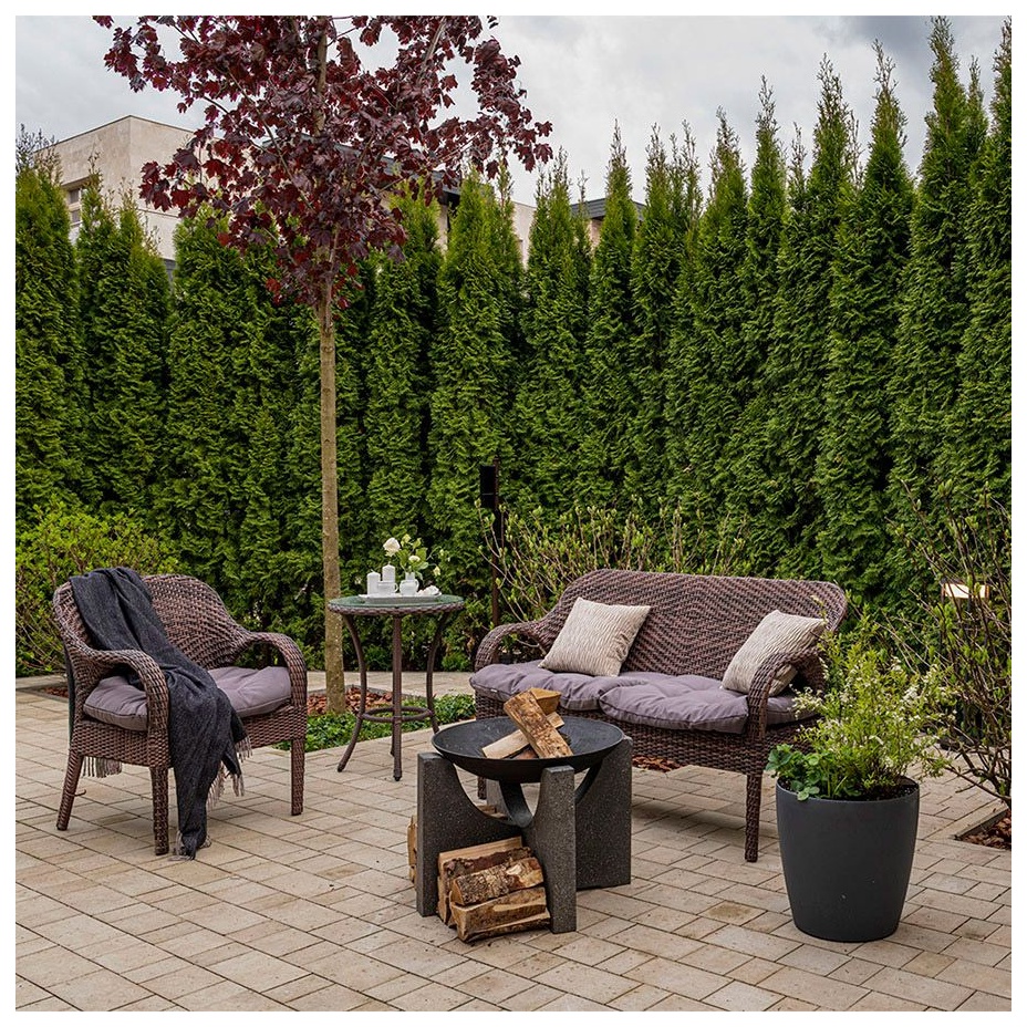 Чугунная чаша на бетонном основании PREMIUM S-серия (60)