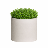 ДЮНА
